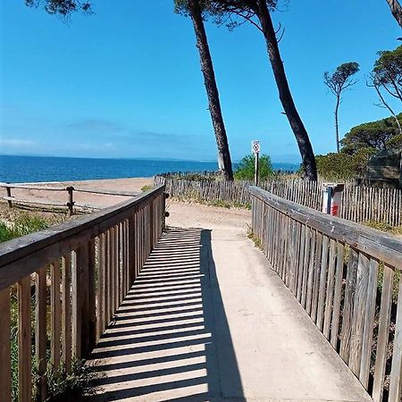 Le Jardin De La Plage - Linges Inclus La Londe-les-Maures Eksteriør billede