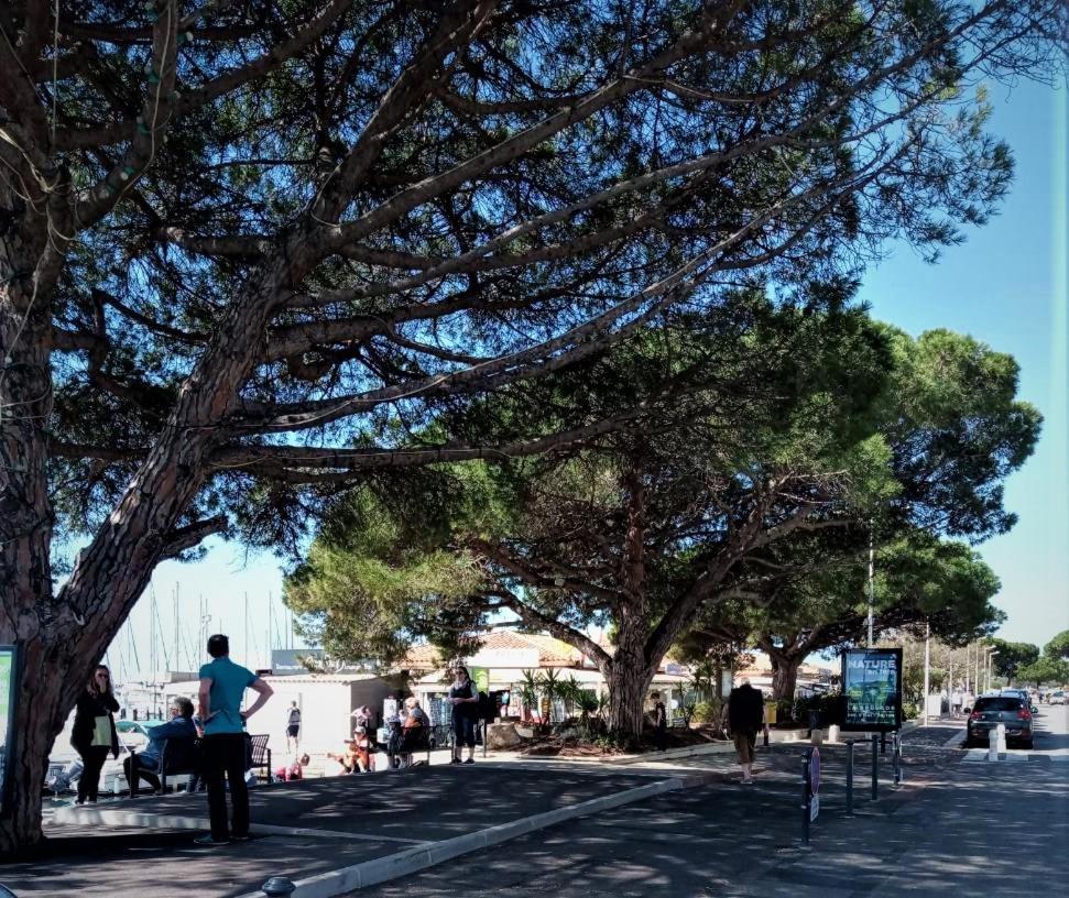 Le Jardin De La Plage - Linges Inclus La Londe-les-Maures Eksteriør billede